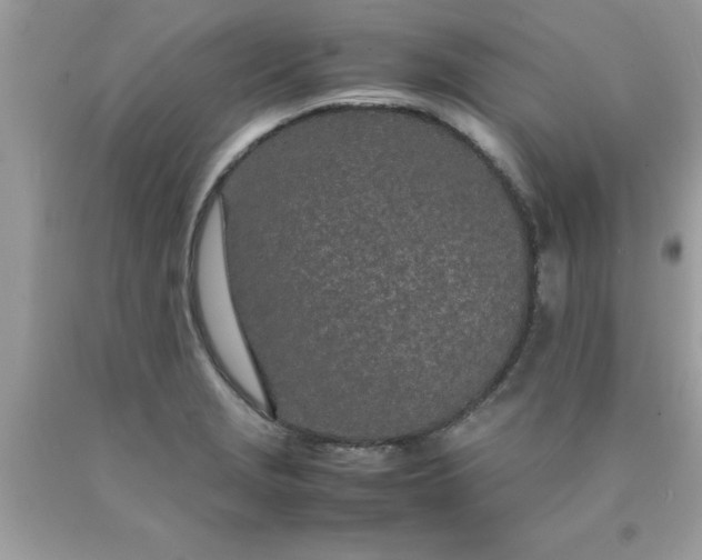 X0000090471229200707272251