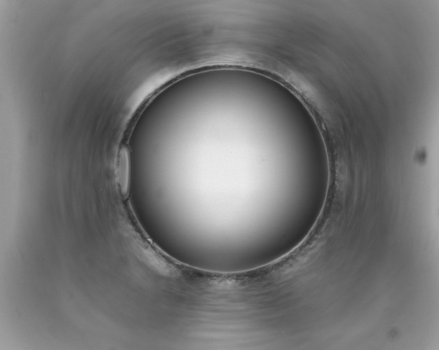 X0000090471230200707272251