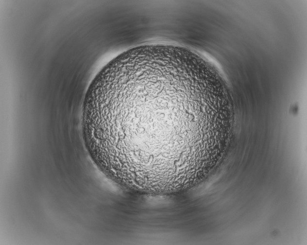 X0000090471231200707272251