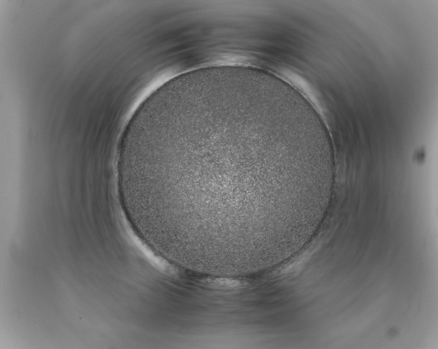 X0000090471235200707272251