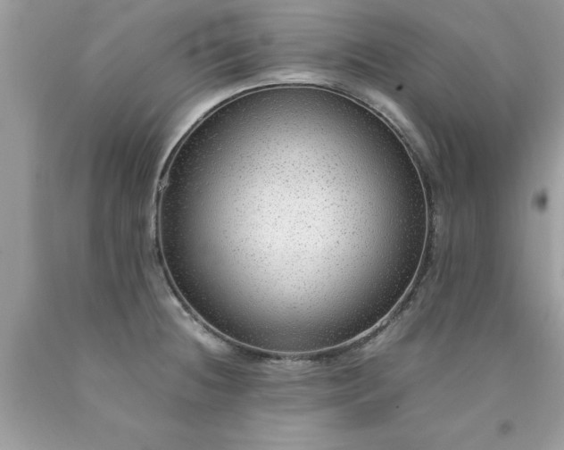 X0000090471236200707272251