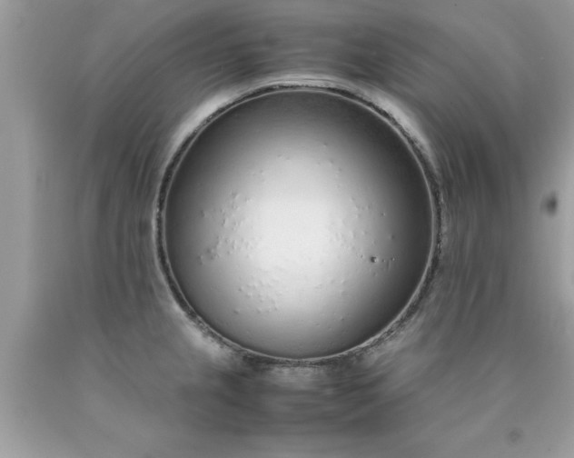 X0000090471237200707272251