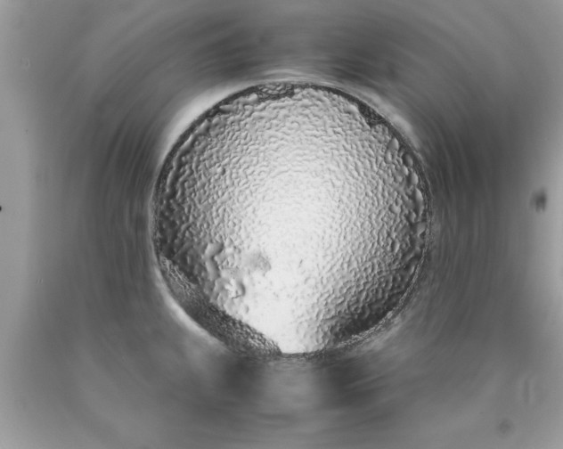 X0000090471239200707272251