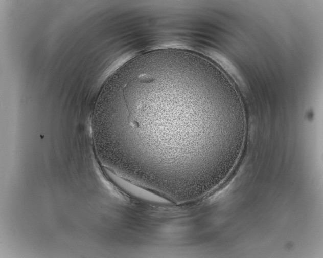 X0000090471241200707272251