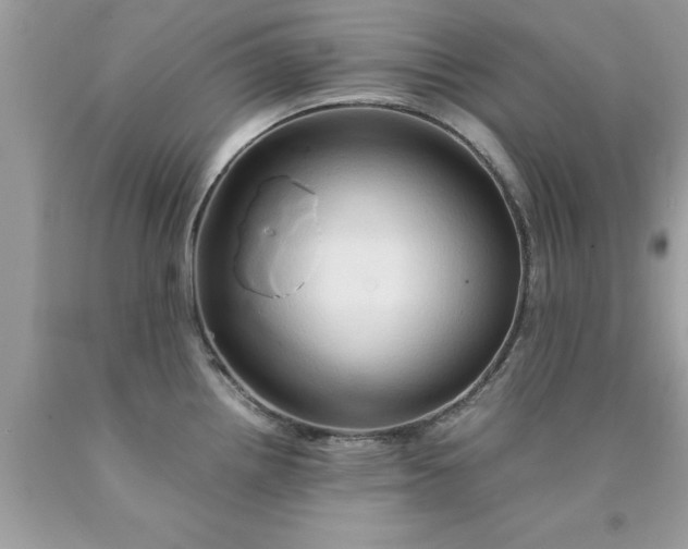 X0000090471242200707272251