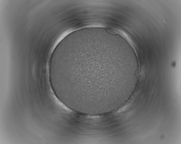 X0000090471243200707272251