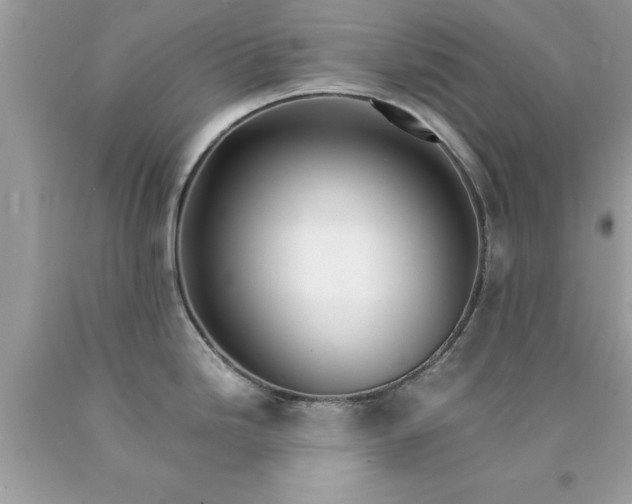 X0000090471246200707272251