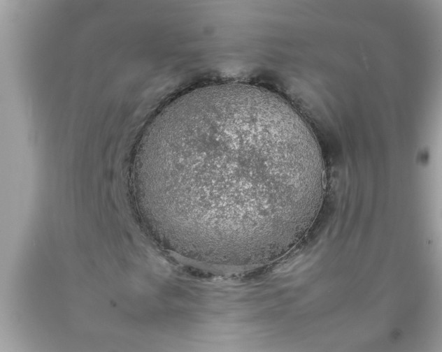 X0000090471249200707272250