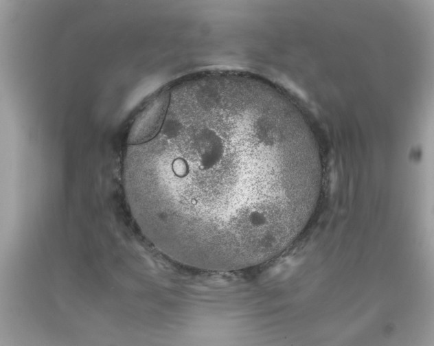 X0000090471255200707272250