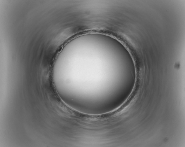 X0000090471257200707272250