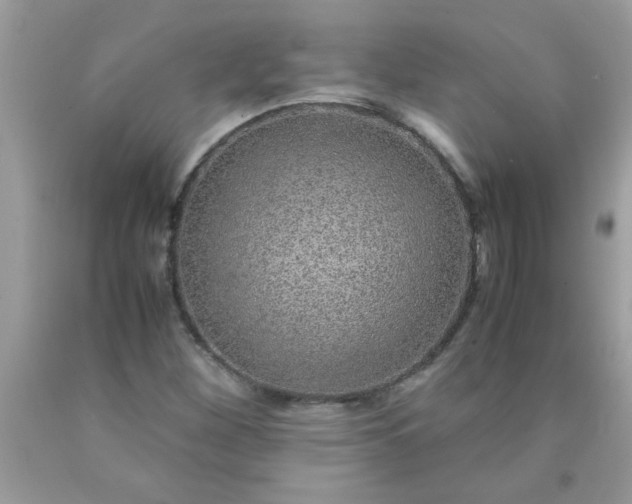 X0000090471260200707272250