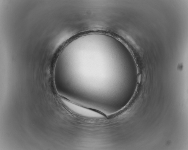 X0000090471261200707272250