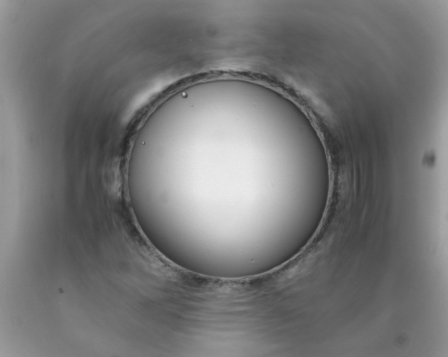 X0000090471262200707272250