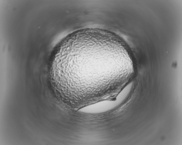 X0000090471263200707272250