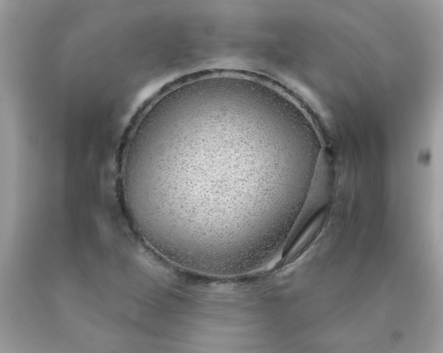 X0000090471264200707272250