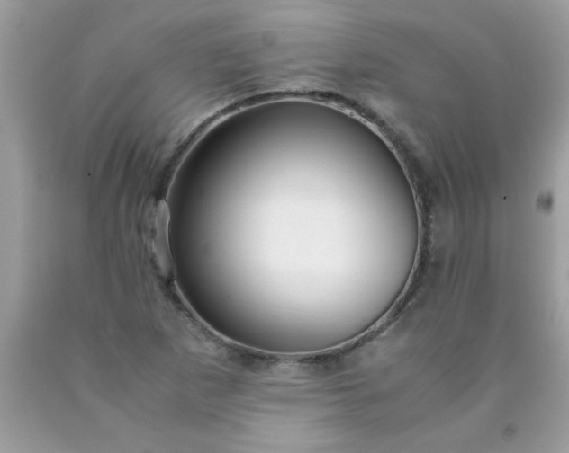 X0000090471265200707272250