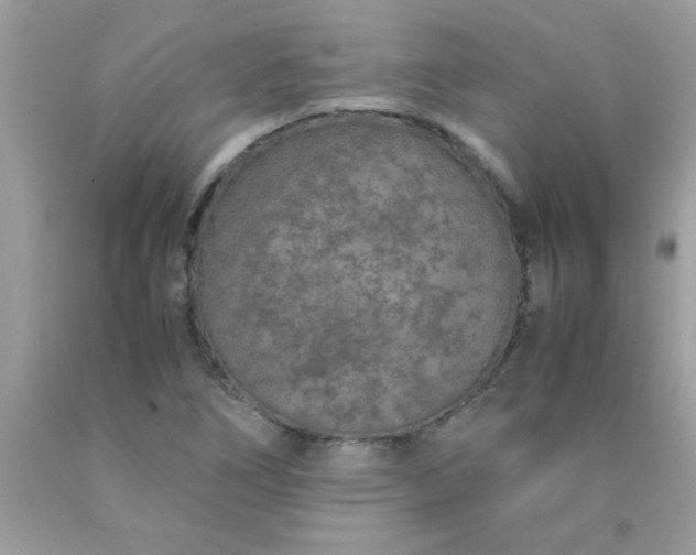 X0000090471266200707272250