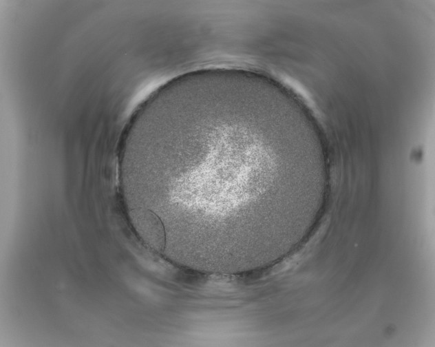 X0000090471267200707272250