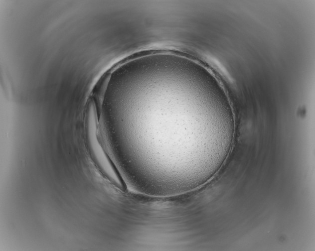 X0000090471268200707272250