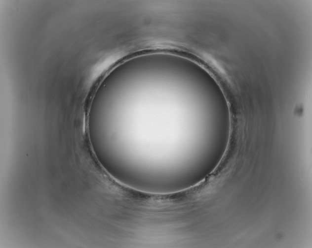 X0000090471269200707272250