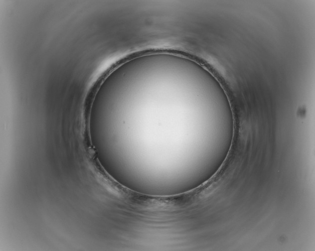 X0000090471270200707272250