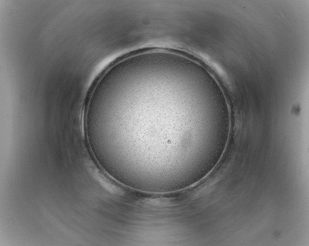 X0000090471272200707272250