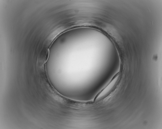 X0000090471273200707272250