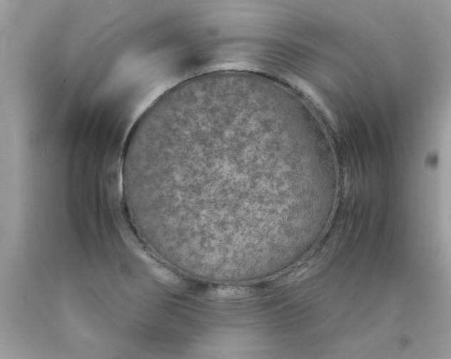 X0000090471274200707272250