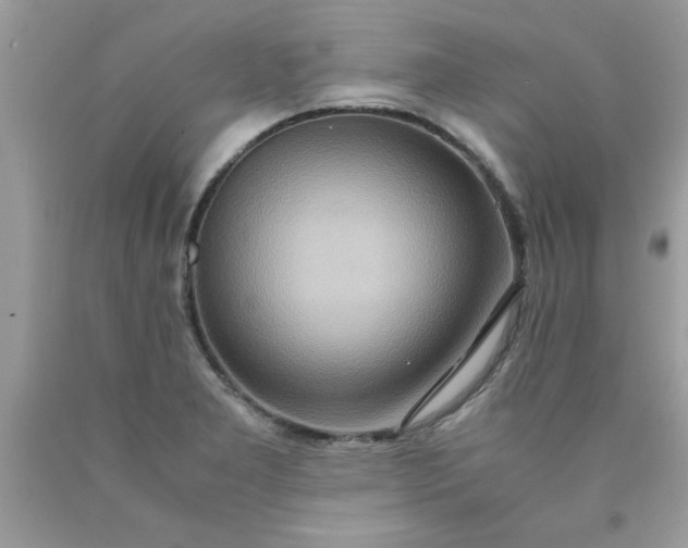 X0000090471277200707272250