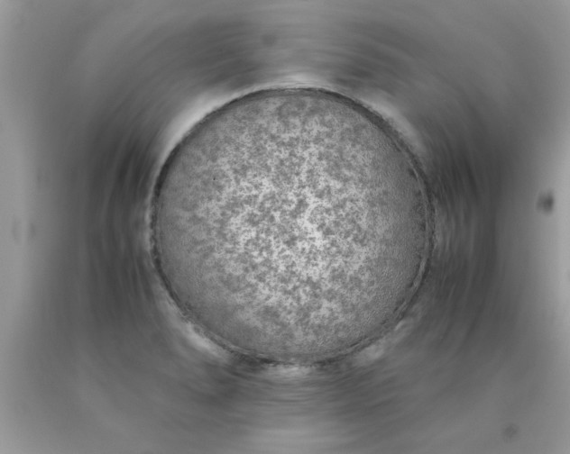 X0000090471278200707272250