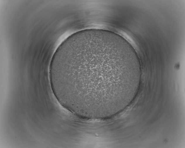 X0000090471283200707272250