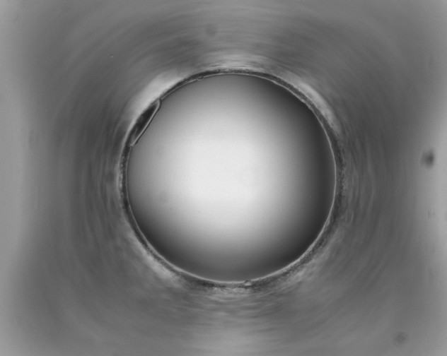 X0000090471285200707272250