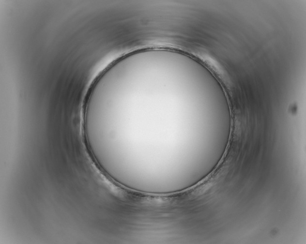 X0000090471286200707272250