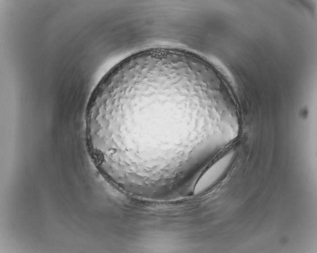 X0000090471287200707272250