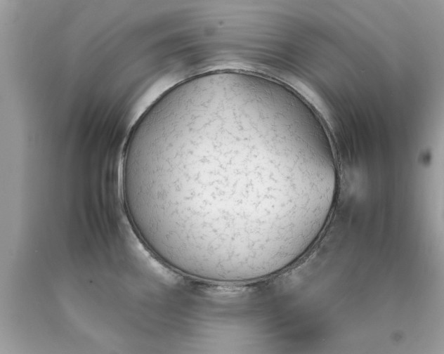 X0000090471290200707272250