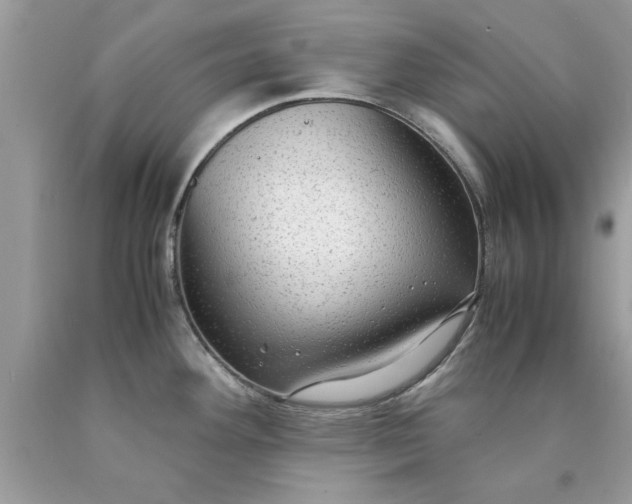 X0000090471292200707272250