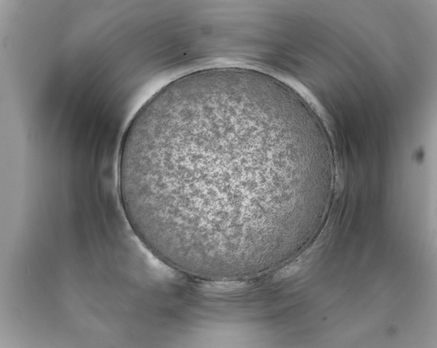 X0000090471294200707272250