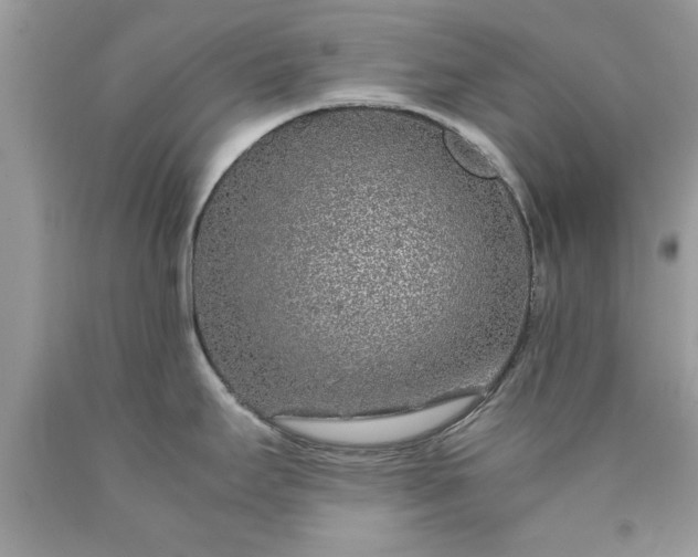 X0000090471295200707272250