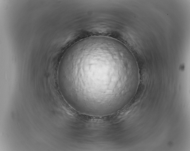 X0000090471297200707272249