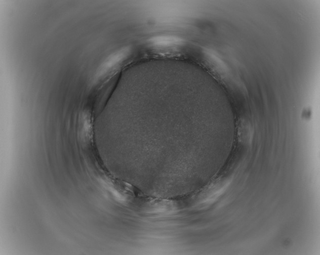 X0000090471298200707272249