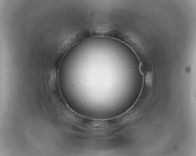 X0000090471299200707272249