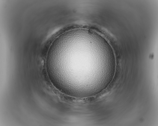 X0000090471302200707272249