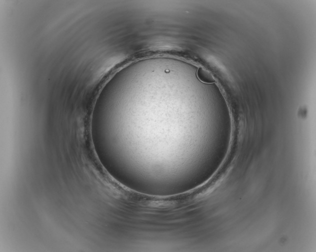 X0000090471305200707272249