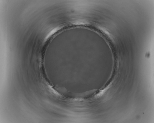 X0000090471306200707272249