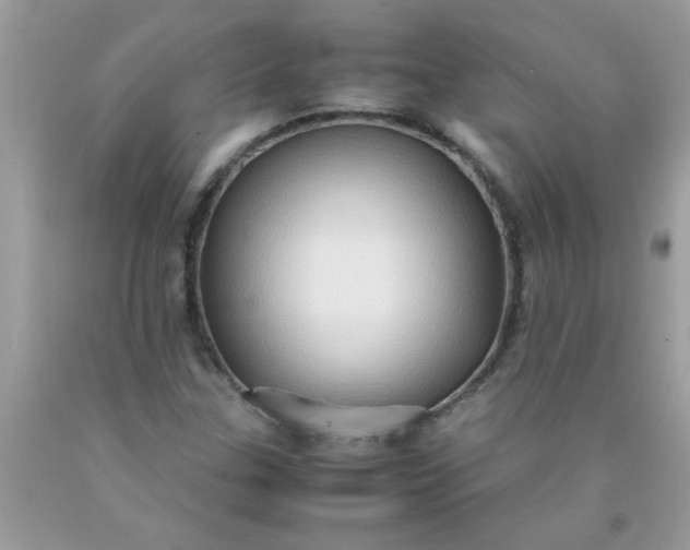 X0000090471307200707272249