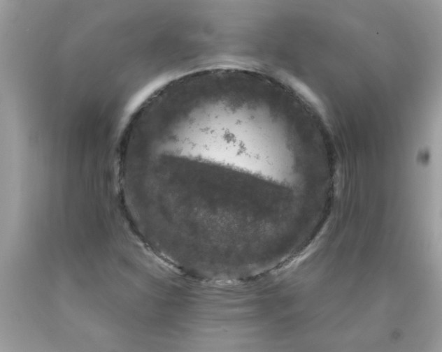 X0000090471310200707272249