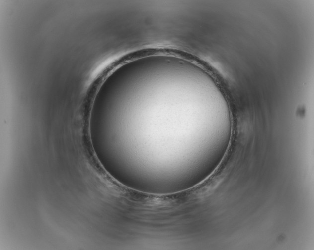 X0000090471311200707272249