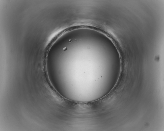 X0000090471312200707272249