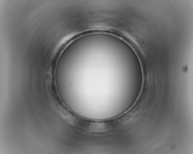 X0000090471315200707272249