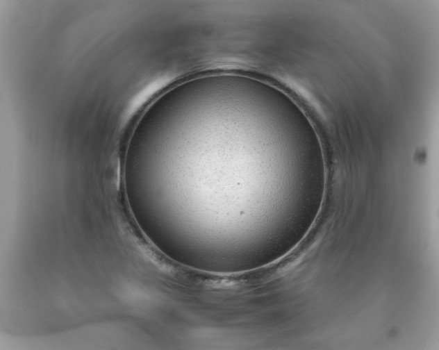 X0000090471317200707272249